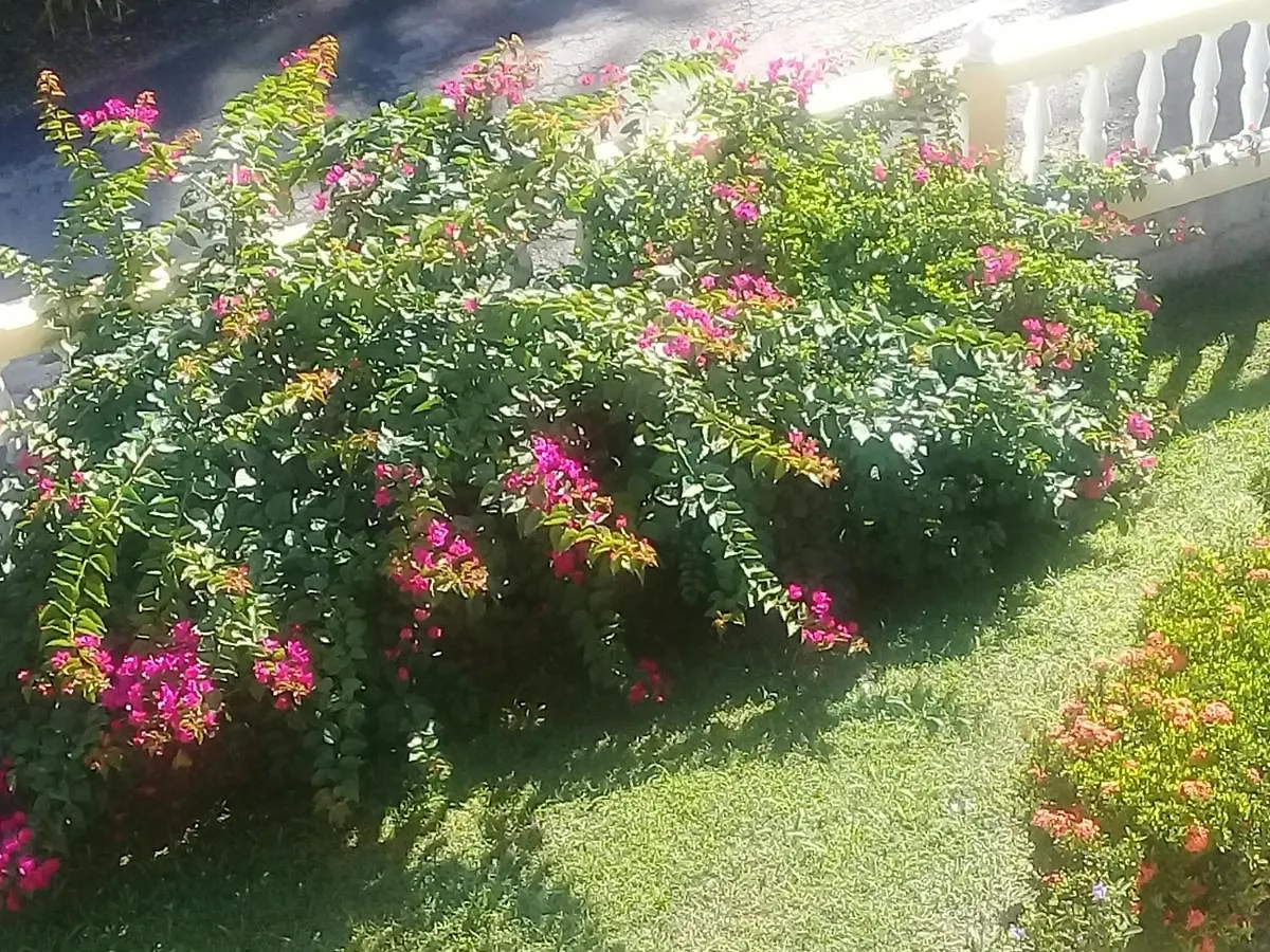 Guest house Royal Escape - 1 Hotel Anse La Raye Saint Lucia